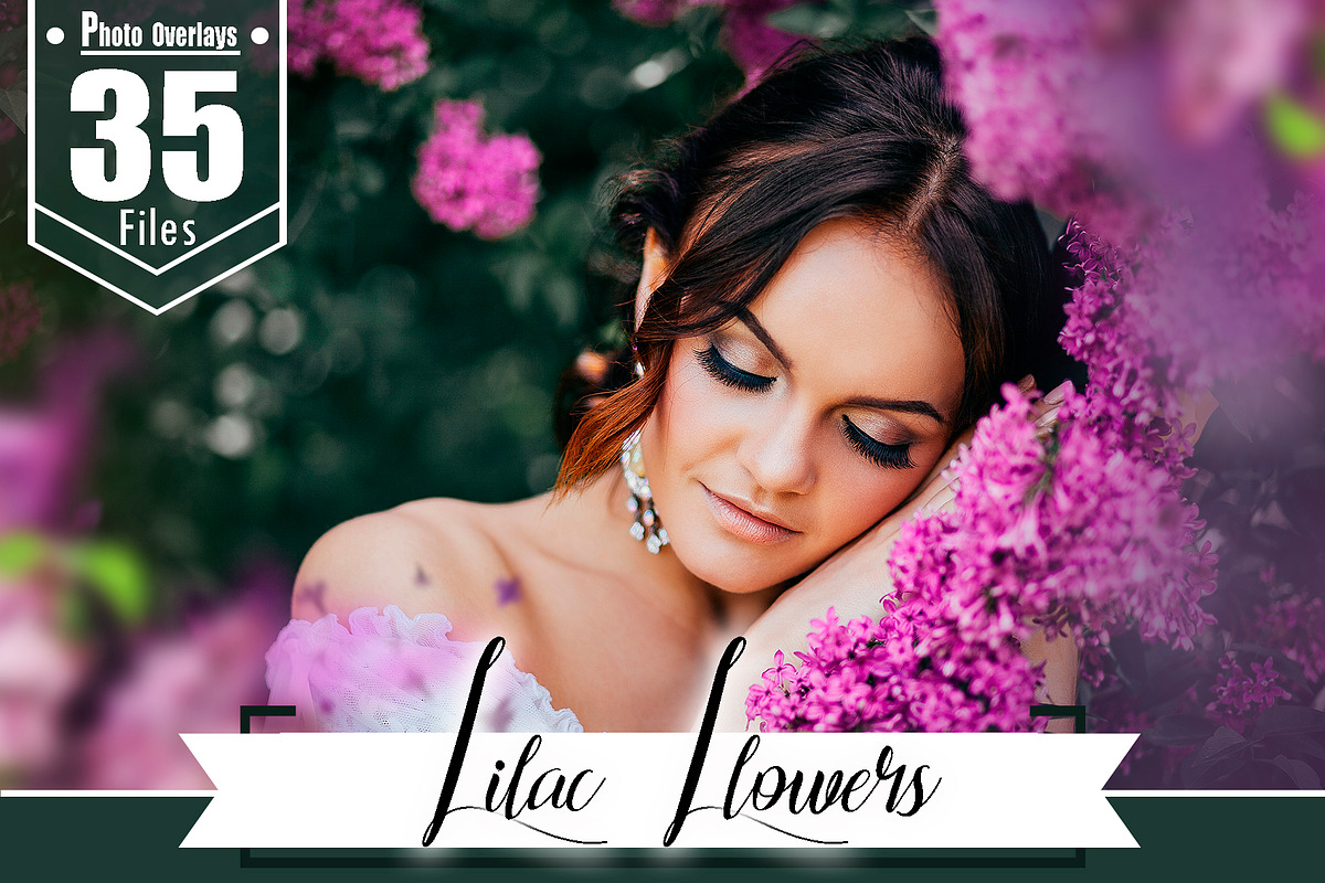 35 Lilac flower photo overlays, in Add-Ons - product preview 8