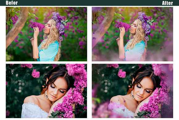 35 Lilac flower photo overlays, in Add-Ons - product preview 1
