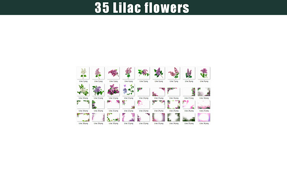 35 Lilac flower photo overlays, in Add-Ons - product preview 3