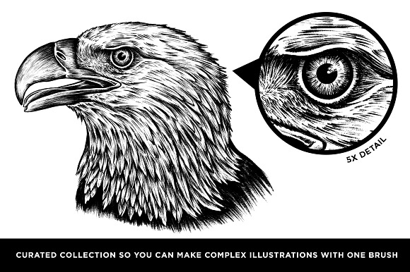 The Classic Illustration Brush Pack in Add-Ons - product preview 9