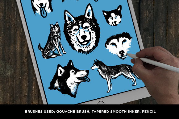 The Classic Illustration Brush Pack in Add-Ons - product preview 10
