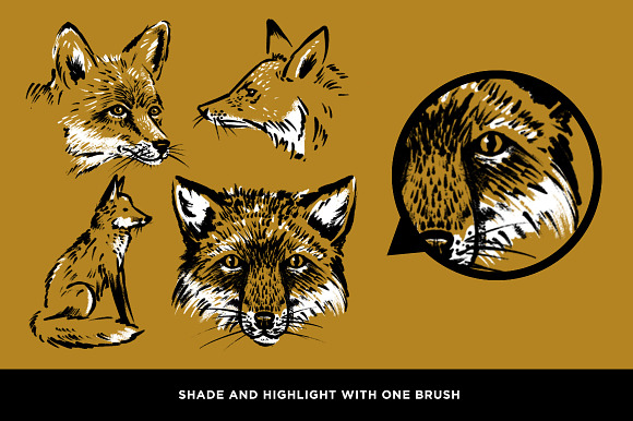 The Classic Illustration Brush Pack in Add-Ons - product preview 13