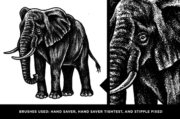 The Classic Illustration Brush Pack in Add-Ons - product preview 14
