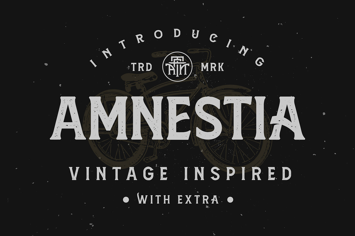 Amnestia Typeface with Extra in Serif Fonts - product preview 8