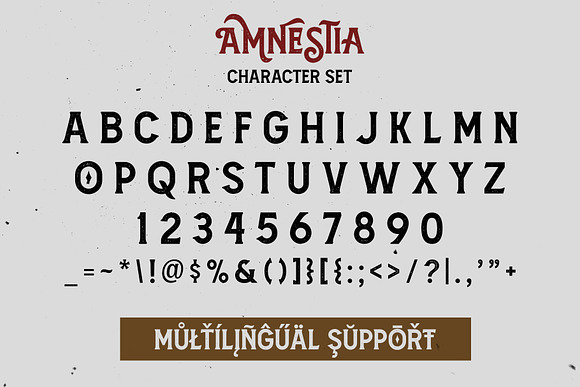 Amnestia Typeface with Extra in Serif Fonts - product preview 13