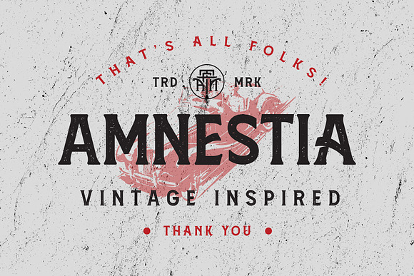 Amnestia Typeface with Extra in Serif Fonts - product preview 15