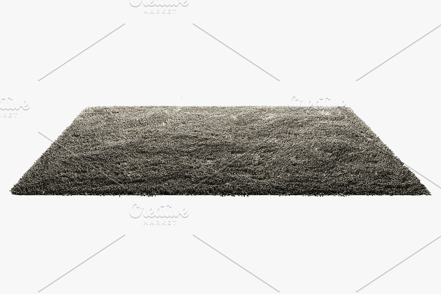 Carpets with long nap 3d model in Furniture - product preview 2