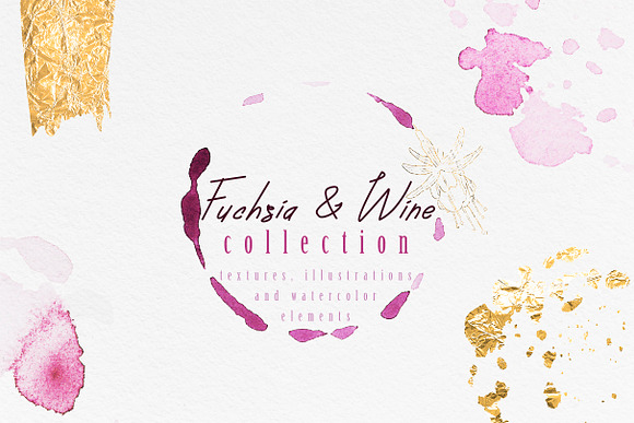 Fuchsia & Wine collection in Illustrations - product preview 5