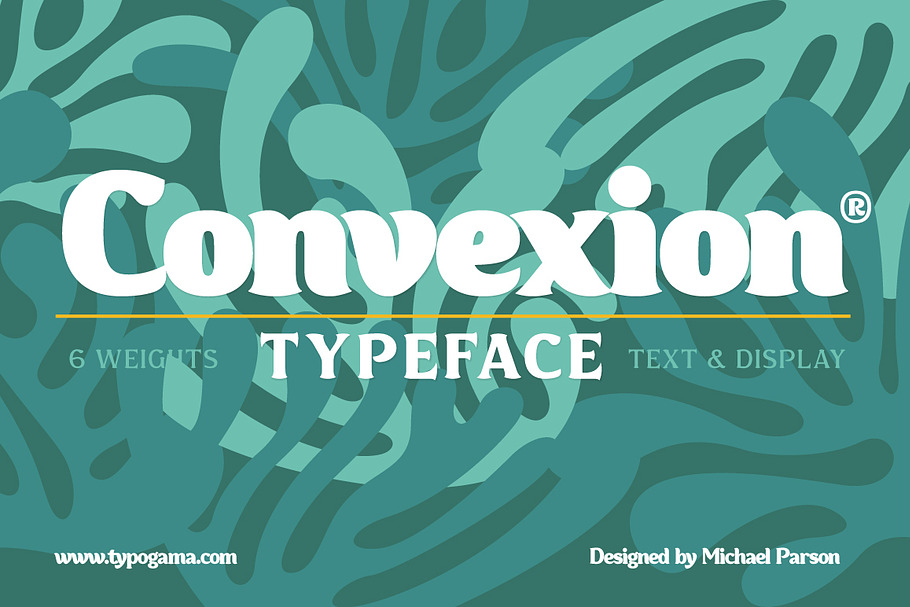 Convexion in Serif Fonts - product preview 8