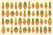 Potted Cactus Houseplant Set