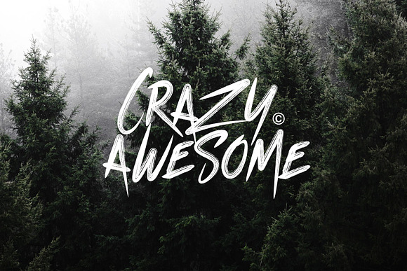 Grooz Zomera Brush Font in Display Fonts - product preview 4