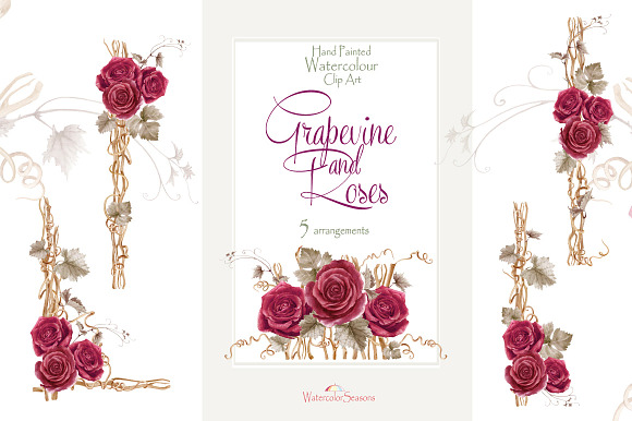 Grapevine and roses - Collection in Graphics - product preview 1