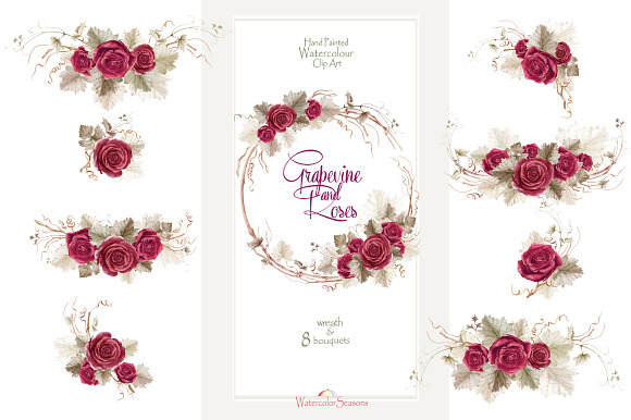 Grapevine and roses - Collection in Graphics - product preview 2