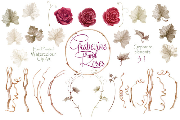 Grapevine and roses - Collection in Graphics - product preview 3