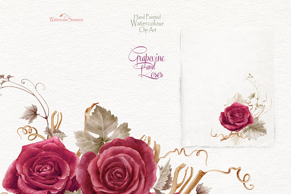 Grapevine and roses - Collection in Graphics - product preview 4