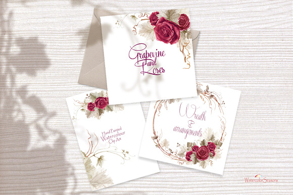 Grapevine and roses - Collection in Graphics - product preview 5