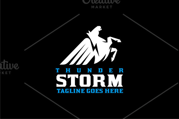 Thunder Storm in Logo Templates - product preview 1