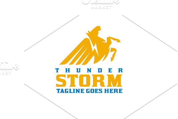 Thunder Storm in Logo Templates - product preview 2