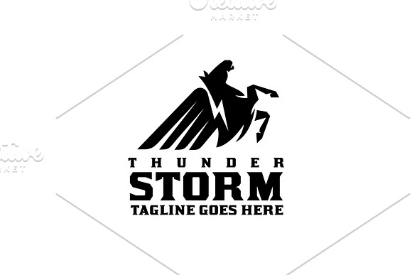 Thunder Storm in Logo Templates - product preview 3