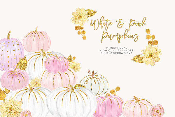 White and Pink Pumpkins