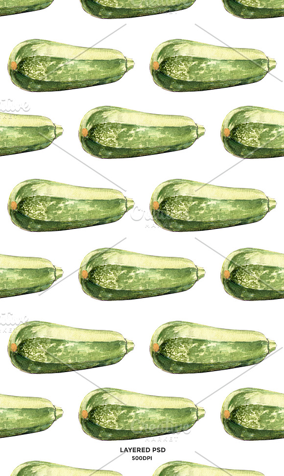 Zucchini watercolor illustrations in Illustrations - product preview 2