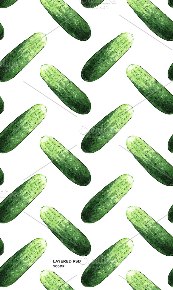 Cucumber watercolor illustrations in Illustrations - product preview 2