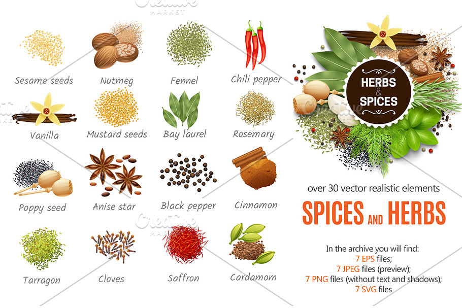 Spices & Herbs Set in Illustrations - product preview 8