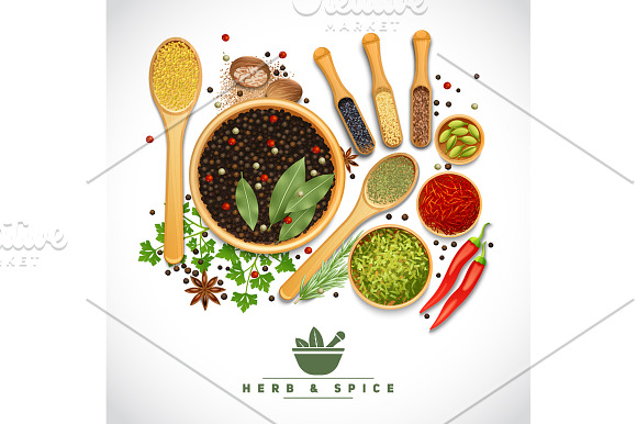 Spices & Herbs Set in Illustrations - product preview 2