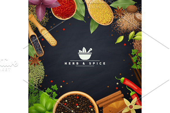 Spices & Herbs Set in Illustrations - product preview 4