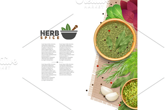 Spices & Herbs Set in Illustrations - product preview 5