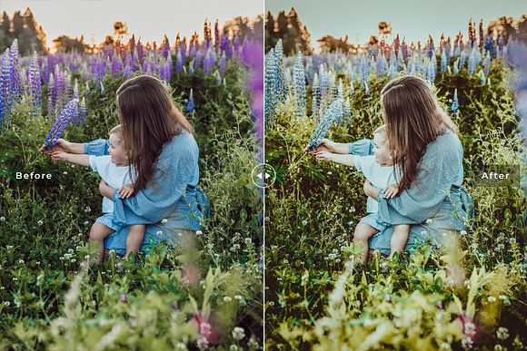 Family Professional Lightroom Preset in Add-Ons - product preview 1