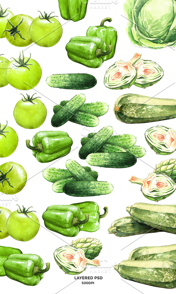 30% OFF Green Vegetables watercolor in Illustrations - product preview 1