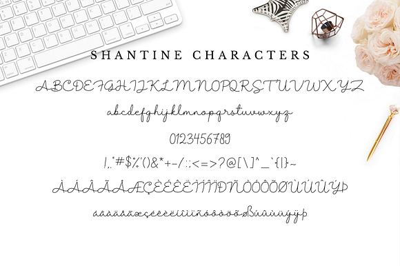 Shantine Script in Script Fonts - product preview 5
