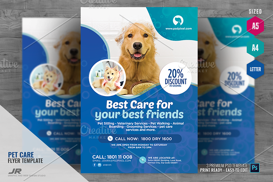 Pet Services Promotional Flyer in Flyer Templates - product preview 8