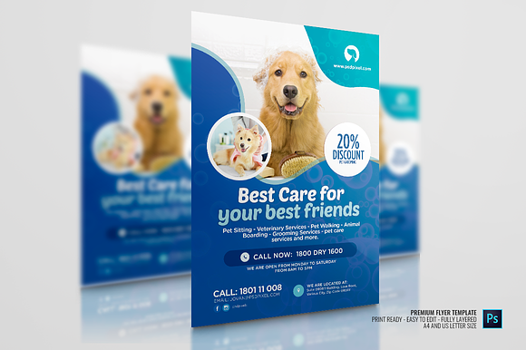 Pet Services Promotional Flyer in Flyer Templates - product preview 2