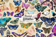 Painted Butterflies Clipart
