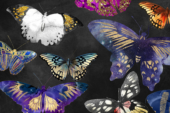 Painted Butterflies Clipart in Objects - product preview 2