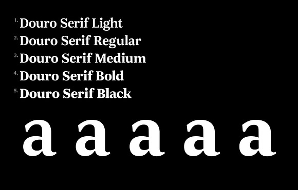 JT Douro Serif in Serif Fonts - product preview 2