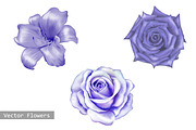Purple Lily and Rose flowers. Vector