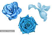 Blue Flowers: Iris, Camellia, Rose.