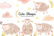 Cute Watercolor Sheeps. Patterns