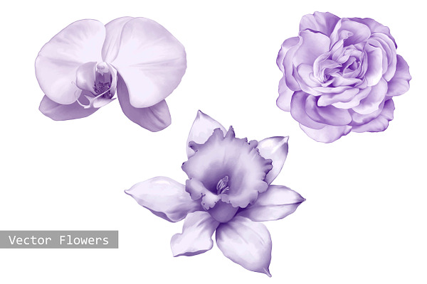 Orchid, Rose and Daffodil flower