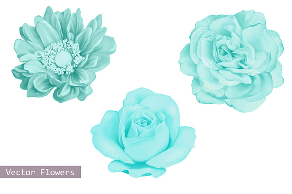 Set of Blue Flowers: Dahlia and Rose