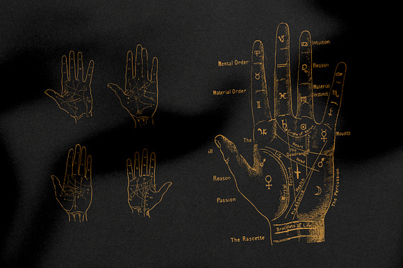 Palmistry, Zodiac & Occult in Illustrations - product preview 1