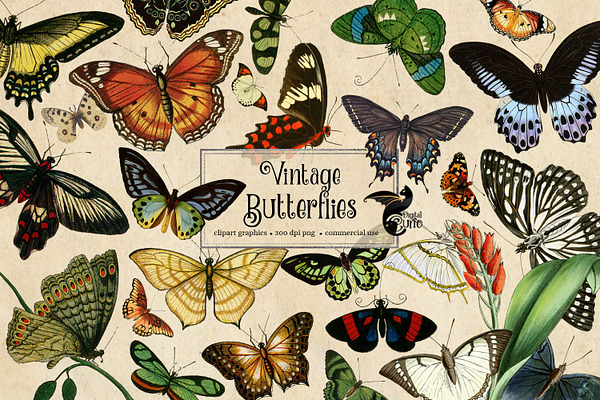 200 Vintage Butterflies