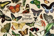 200 Vintage Butterflies