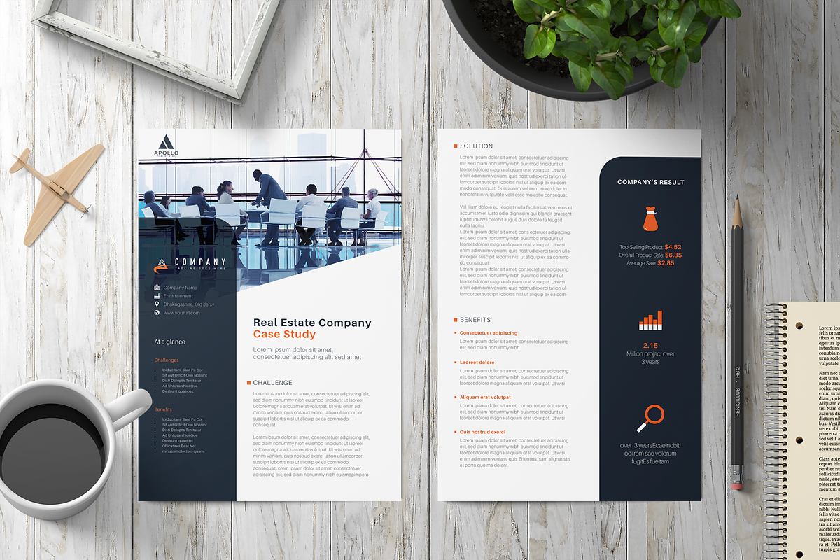 Case Study Flyer in Flyer Templates - product preview 8