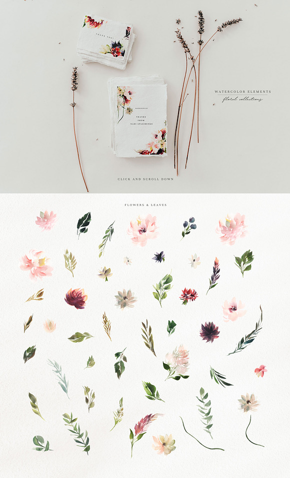 Watercolor Blush & Plum in Illustrations - product preview 6
