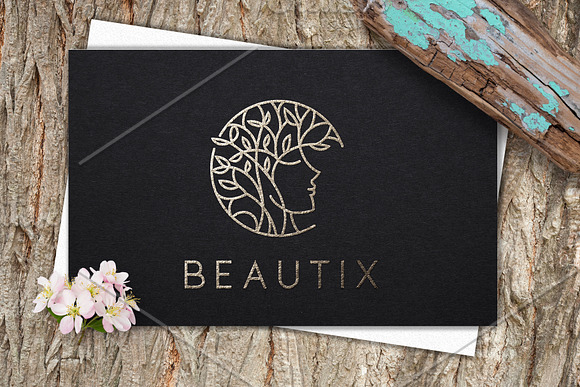 Beautix Logo Template in Logo Templates - product preview 1