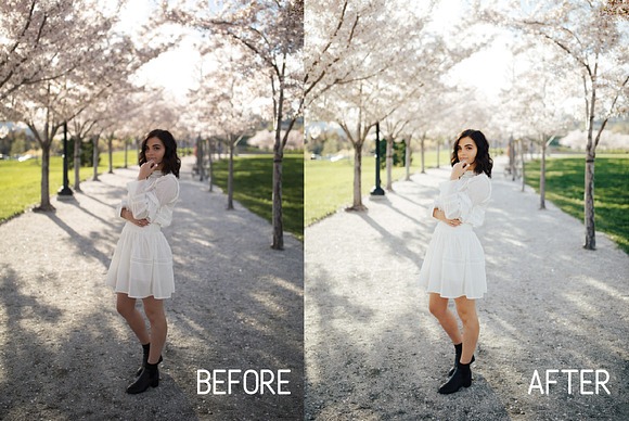 Perfect Tones Lightroom Presets in Add-Ons - product preview 2